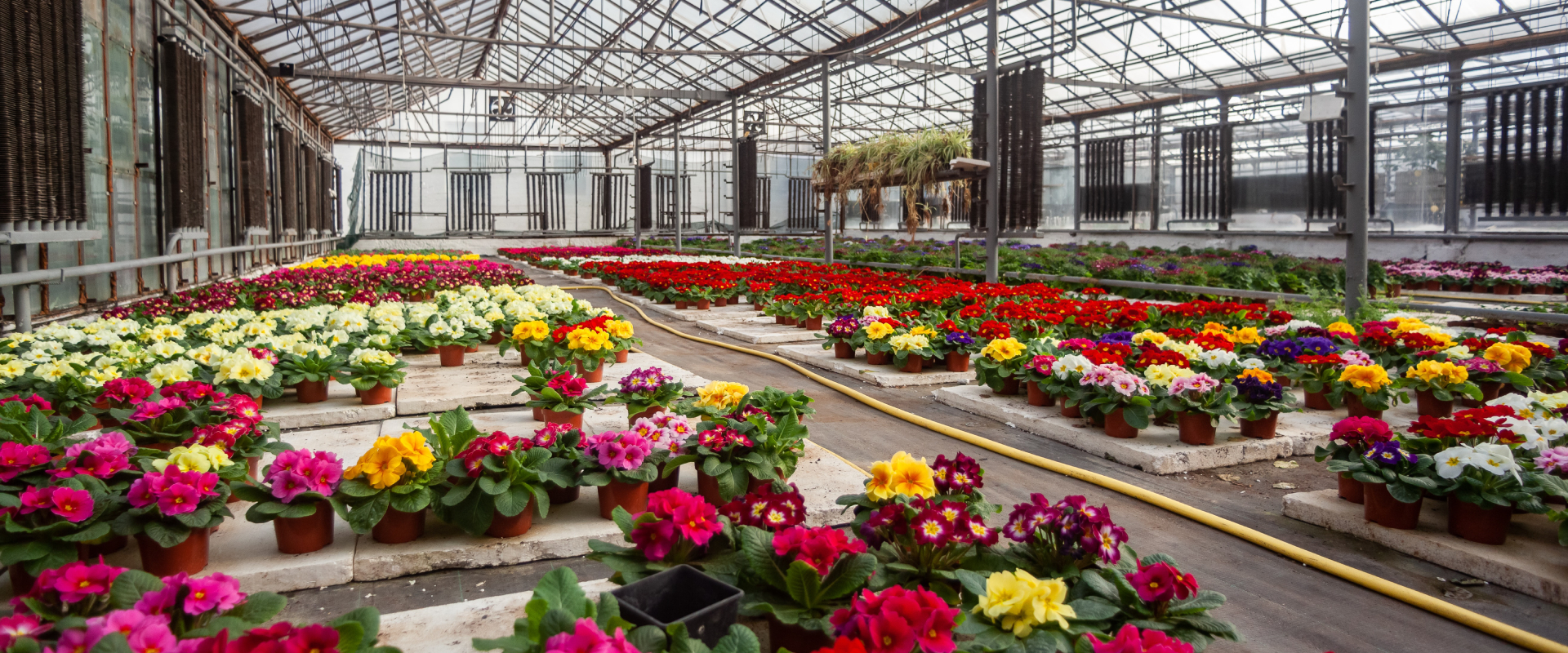 Monitoramento de temperatura e umidade para cultivo de flores